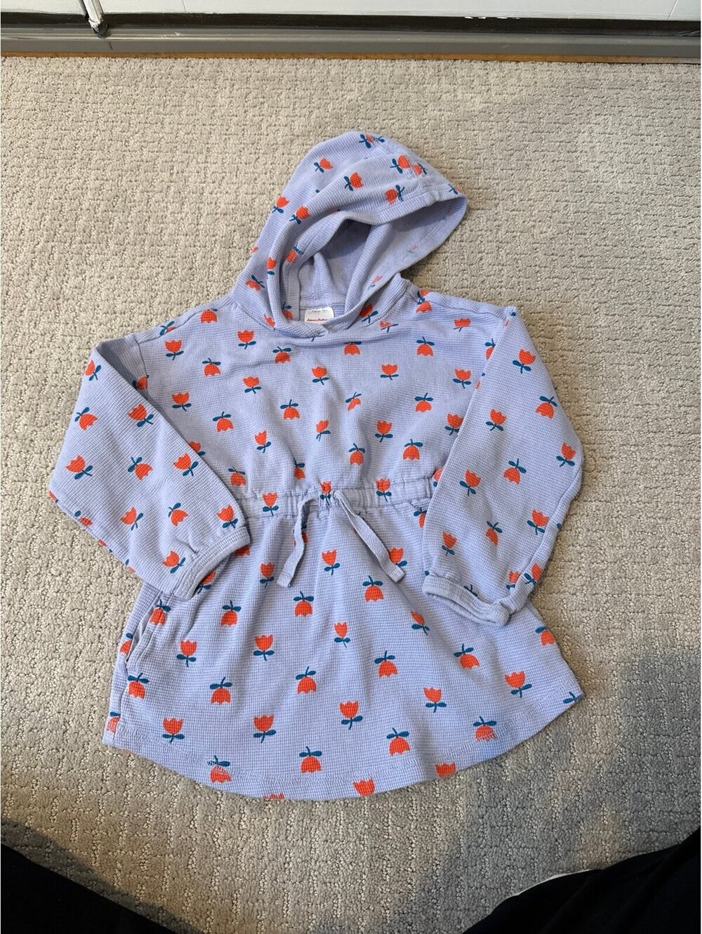 Hanna Andersson hoodie shirt